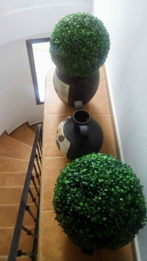 Fuer 5 Bis 6 Personen Apartment *